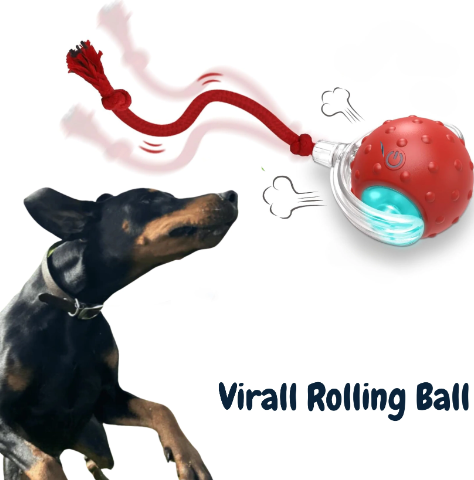 Pet Rolling Ball (One Piece)