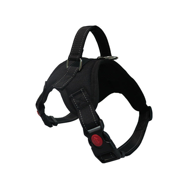 Adjustable Dog Harness and Reflective Leash Set