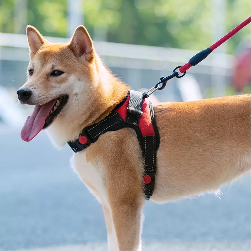 Adjustable Dog Harness and Reflective Leash Set